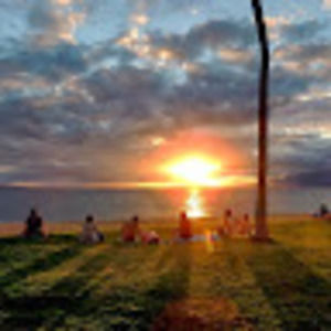 Meet your Posher, Nora